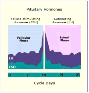 Pituitary_Hormones