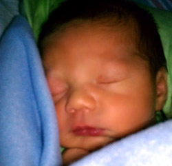 TR Baby - Michael Paul