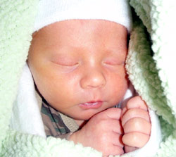 Our Monteith Miracle, Christian Allen.