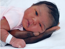 Tubal Reversal Baby - Cheyenne Antoinette.