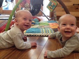 tubal reversal twins