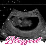 Idaho Falls-blessed-tubal-reversal-pregnancy