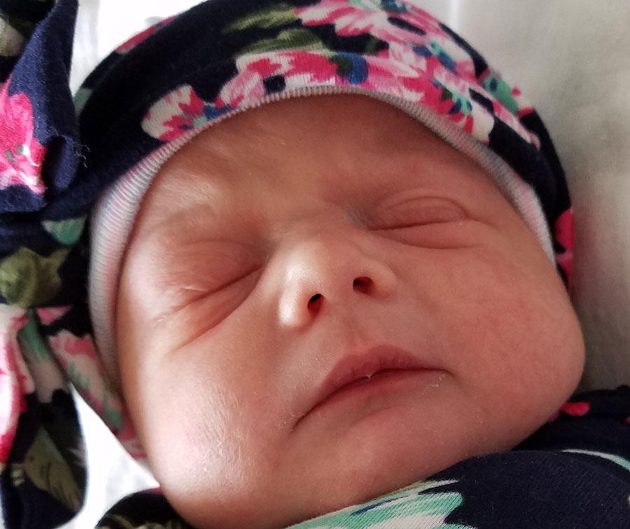 tubal-reversal-in-maine-doctors