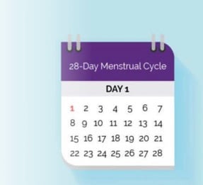 first-step-understanding-mentrual-cycle-forget-calendar