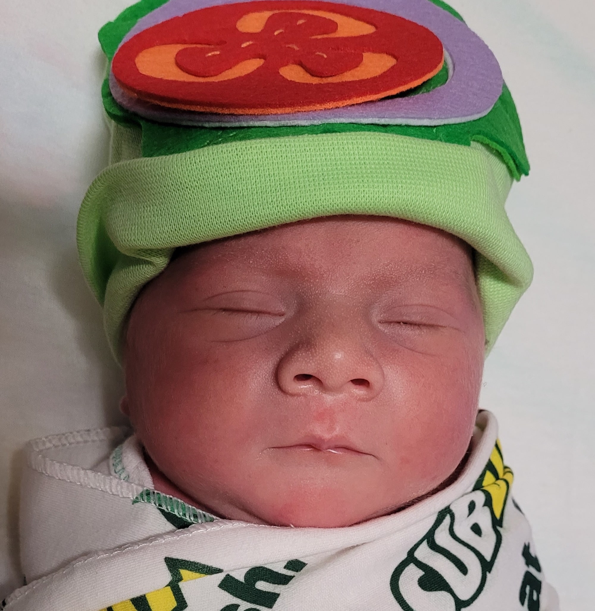 mom-has-four-babies-after-Essure-reversal-surgery