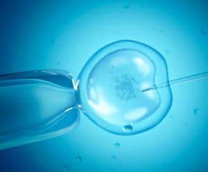 IVF-has-a-high-chance-of-pregnancy-miscarriage