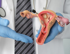 how-to-understand-fallopian-tube-anatomy