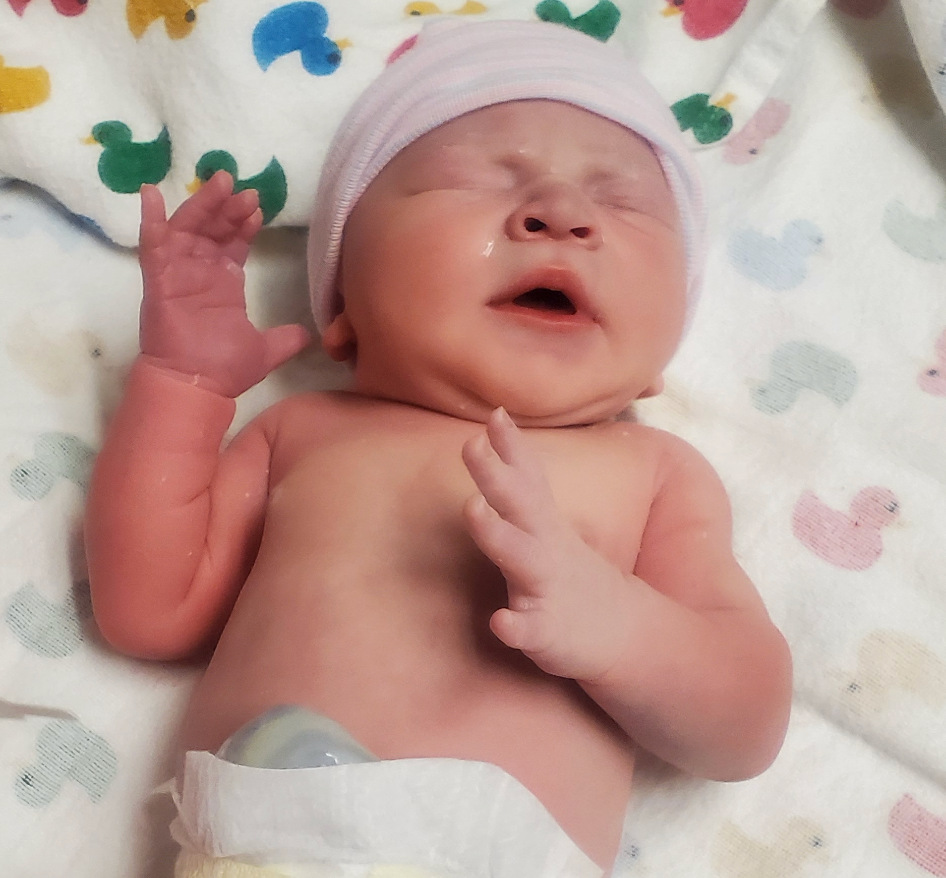 tubal-reversal-kenova-west-virginia-tubal-clip-tubal-reversal-surgery