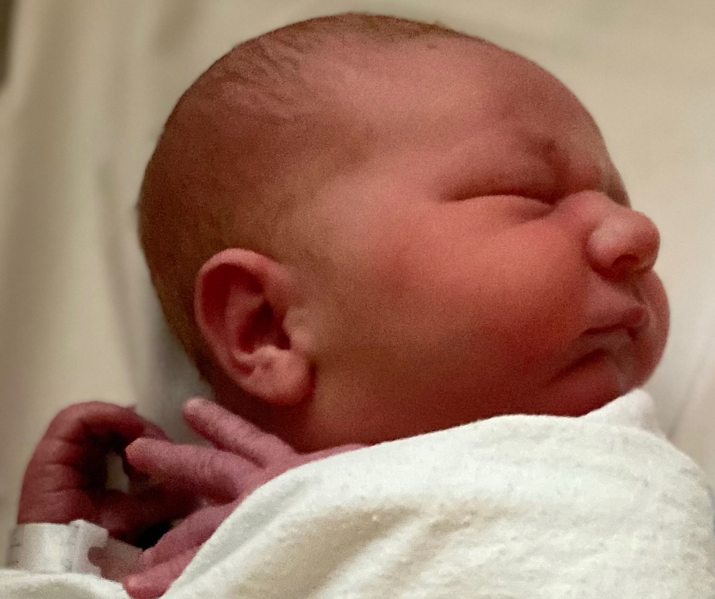 clinton-tn-tubal-reversal-baby