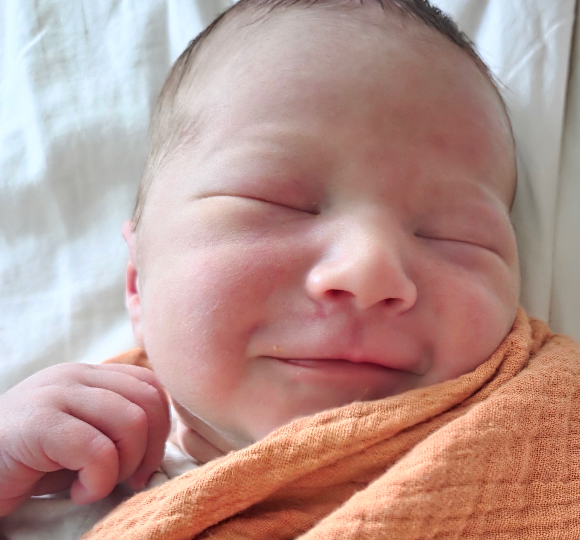 tubal-ligation-reversal-hudsonville-michigan