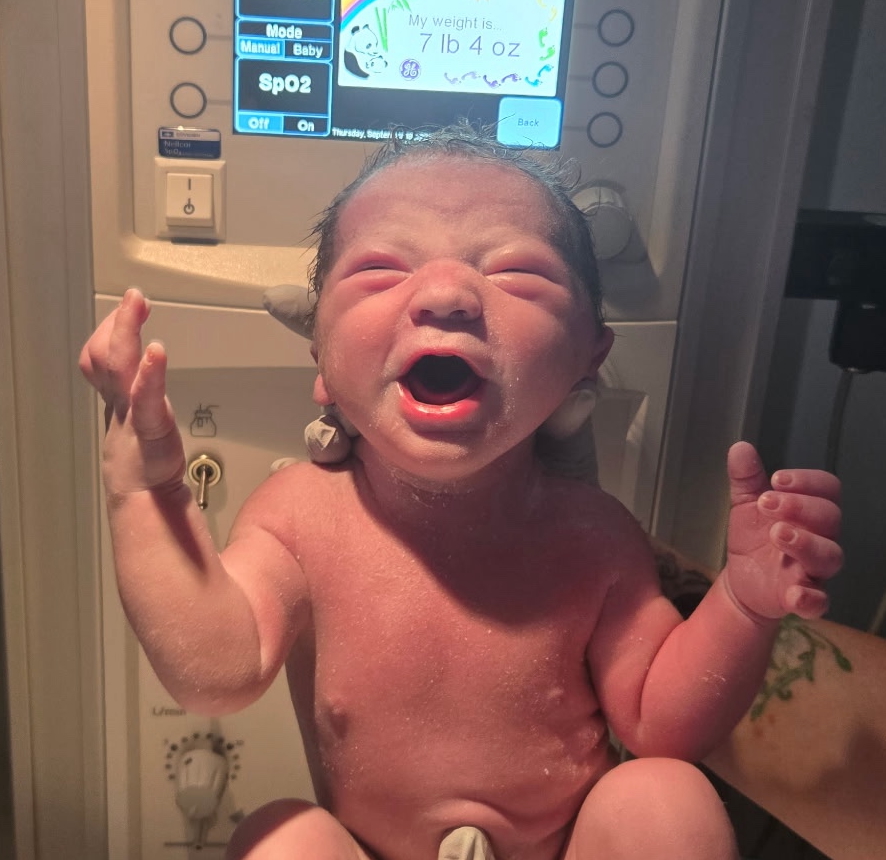 tubal-ligation-reversal-portsmouth-virginia