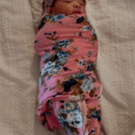 Charlotte, North Carolina