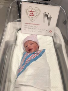 vasectomy reversal, raleigh, NC