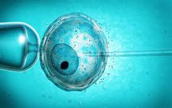 information about ivf can often be confusing