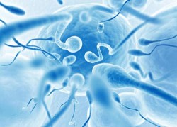 a sperm test can sometimes be helpful before tubal reversal