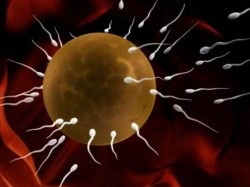 sperm testing before tubal reversal