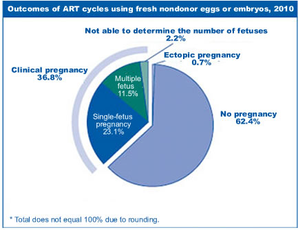 CDC IVF Success rates