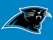 Carolina-Panthers-is a great get away for dads while mom recovers from reversal.